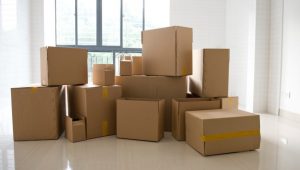 Professional Moving Company In Kolkata