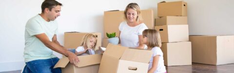 PROFESSIONAL PACKERS AND MOVERS SERVICES